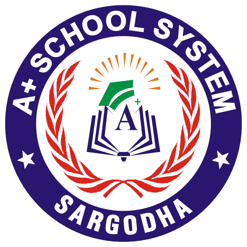 A+ School System Sargodha